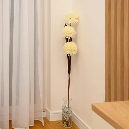 Apartmán Luxe Point *